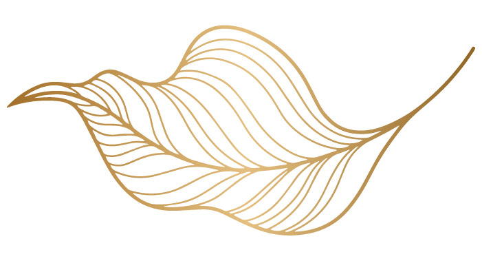 Decorative Icon